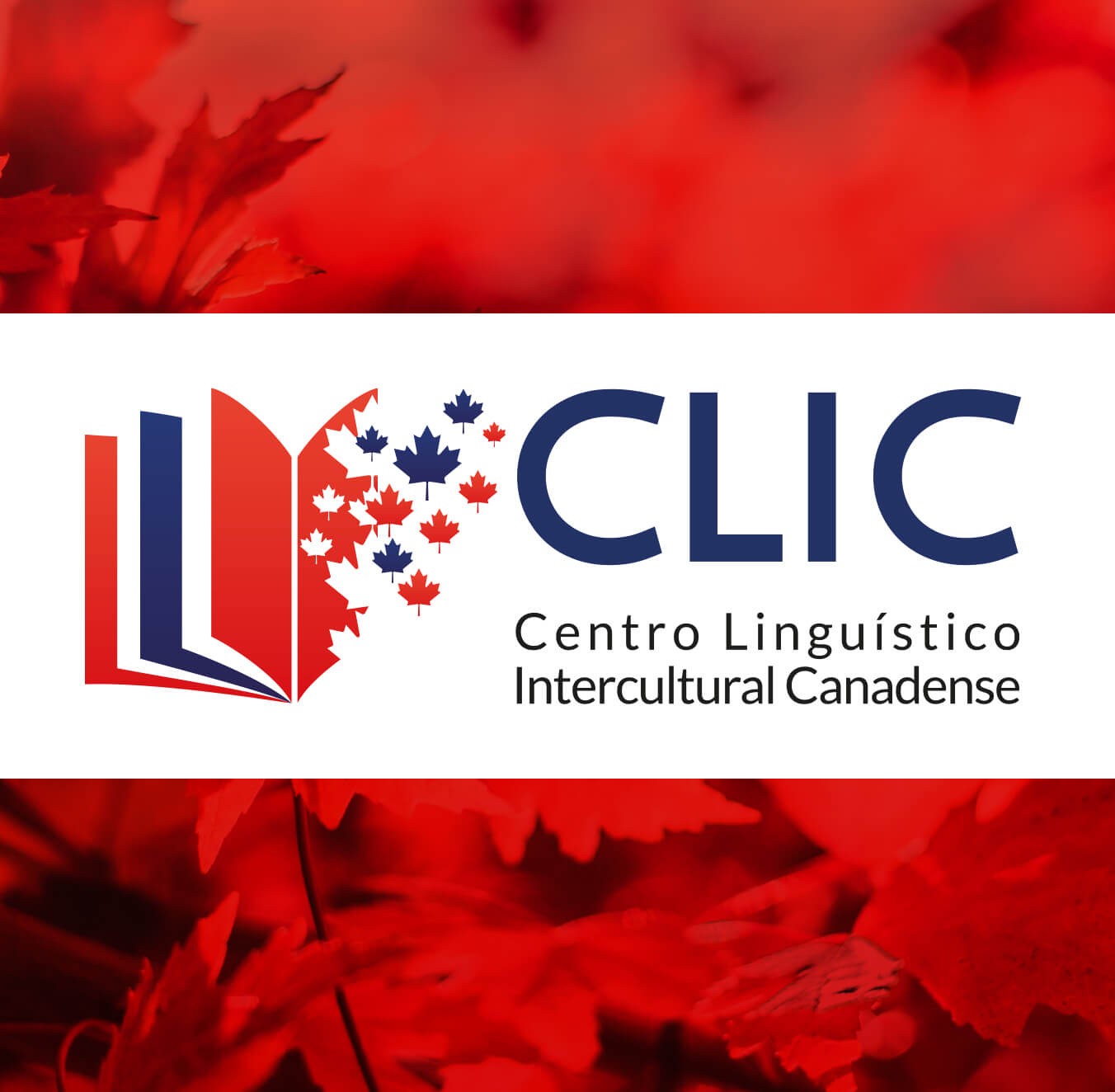 IIdentidade visual CLIC Canada